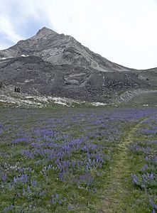 193. The summit of Hyndman Peak is the highest point in Idaho's Pioneer Mountains.