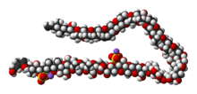 Space-filling model of the maitotoxin molecule