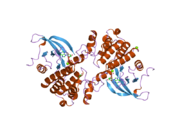 2p0c: Catalytic Domain of the Proto-oncogene Tyrosine-protein Kinase MER
