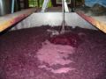 Image 2A cap of grape skins forms on the surface of fermenting red wine (from Winemaking)