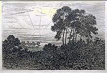 Landscape with trees and sun