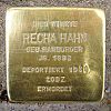 Stolperstein Alt Fechenheim 105 für Recha Hahn