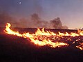 Image 21Lightning-sparked wildfires are frequent occurrences during the dry summer season in Nevada. (from Wildfire)