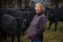 Born in Mexico 81 years ago, Margarita Munoz has made her American dream a reality. Using for 401K back in 1995, she began her investment into ranching purchasing 120 acres near Perkins, Oklahoma, a tractor and plow disc and 20 heifers. Today, she owns 800-plus acres and handles 250 head of cattle on her own.