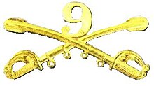 A computer generated reproduction of the insignia of the Union Army 9th Regiment cavalry . The insignia is displayed in gold and consists of two sheafed swords crossing over each other at a 45-degree angle pointing upwards with a Roman numeral 9
