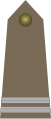 Kapral (Polish Land Forces)[44]
