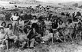 Palmach youth group at Ayelet Hashahar, 1946
