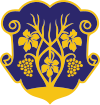 Wappen von Uschhorod Ungwar