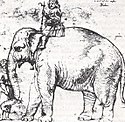 Hanno, 1514; nach einer (verschollenen) Zeichnung von Raffael