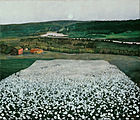 Flower Meadow in the North, 1905