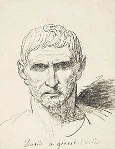 Kopf des Brutus (Jacques-Louis David)
