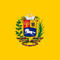 Presidential Standard of Venezuela