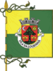 Flag of Lourinhã