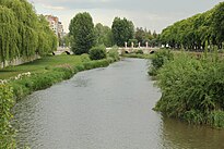 River Arlanzón in spring