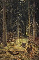 Coniferous forest, 1873