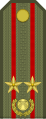 Подполковник Podpolkovnik[9] (Kyrgyz Army)