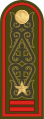 Майор Mayor (Kazakh Ground Forces)[44]