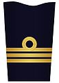 2. Sleeve insignia for a lieutenant (–2003)