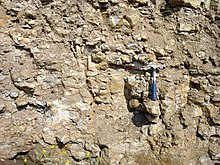 A brownish-grey wall of kukersite is shown with a blue-handled pick axe somewhat to the right of its centre. Fragments of other rocks are visible; most are a little wider than the pick axe handle.