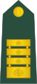 Polkovnik[19] (Slovenian Ground Force)
