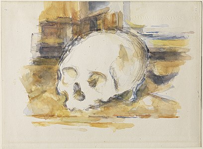 Study of a Skull, 1902–1904, Henry and Rose Pearlman Collection on long-term loan to the Princeton University Art Museum