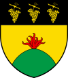 Coat of arms of Bernex