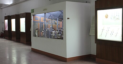 View of the Coins Gallery