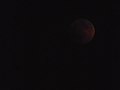 The eclipsed dark moon after the photo above (photo 40)