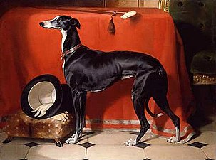 A Favourite Greyhound of Prince Albert, 1841