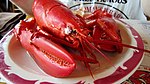 Atlantic lobster (P.E.I.)