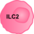 Graphic of an ILC2 cell
