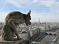 Image 34View from Notre-Dame de Paris.