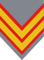 Sargento primero (Chilean Army)[17]