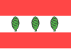 Flag of Sztum County