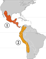 Two genetic pools of the domestication of P. vulgaris 1 – Mesoamerican area 2 – Andean area
