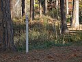 Peace pole in Spokane's Finch Arboretum, Washington