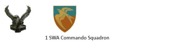 1 SWATF Commando Squadron