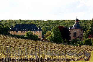 Schloss Vollrads near Oestrich-Winkel