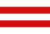 Flag of Carpi
