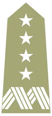 Four-star General's shoulder strap