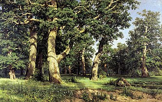Oak Grove, 1887