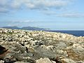 Bänke des Gesteins an der Küste von der Halbinsel Punta de n’Amer, Mallorca
