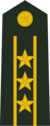 Colonel