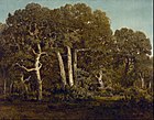The Great Oaks of Old Bas-Bréau, 1864, oil on canvas, Museum of Fine Arts, Houston