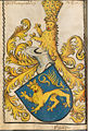 Wappen derer von Schwarzburg in Scheiblers Wappenbuch