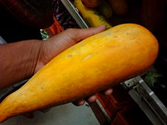 An Indian yellow cucumber