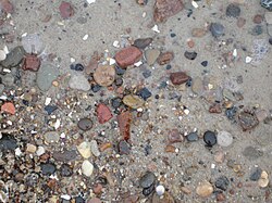 Typical beach sand on the Baltic Sea where amber is often washed up.