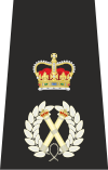 UK Police Chief Constable Epaulette