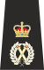 Isle of Man Police Chief Constable Epaulette