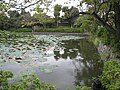 Genpei ponds (Minamoto Pond)